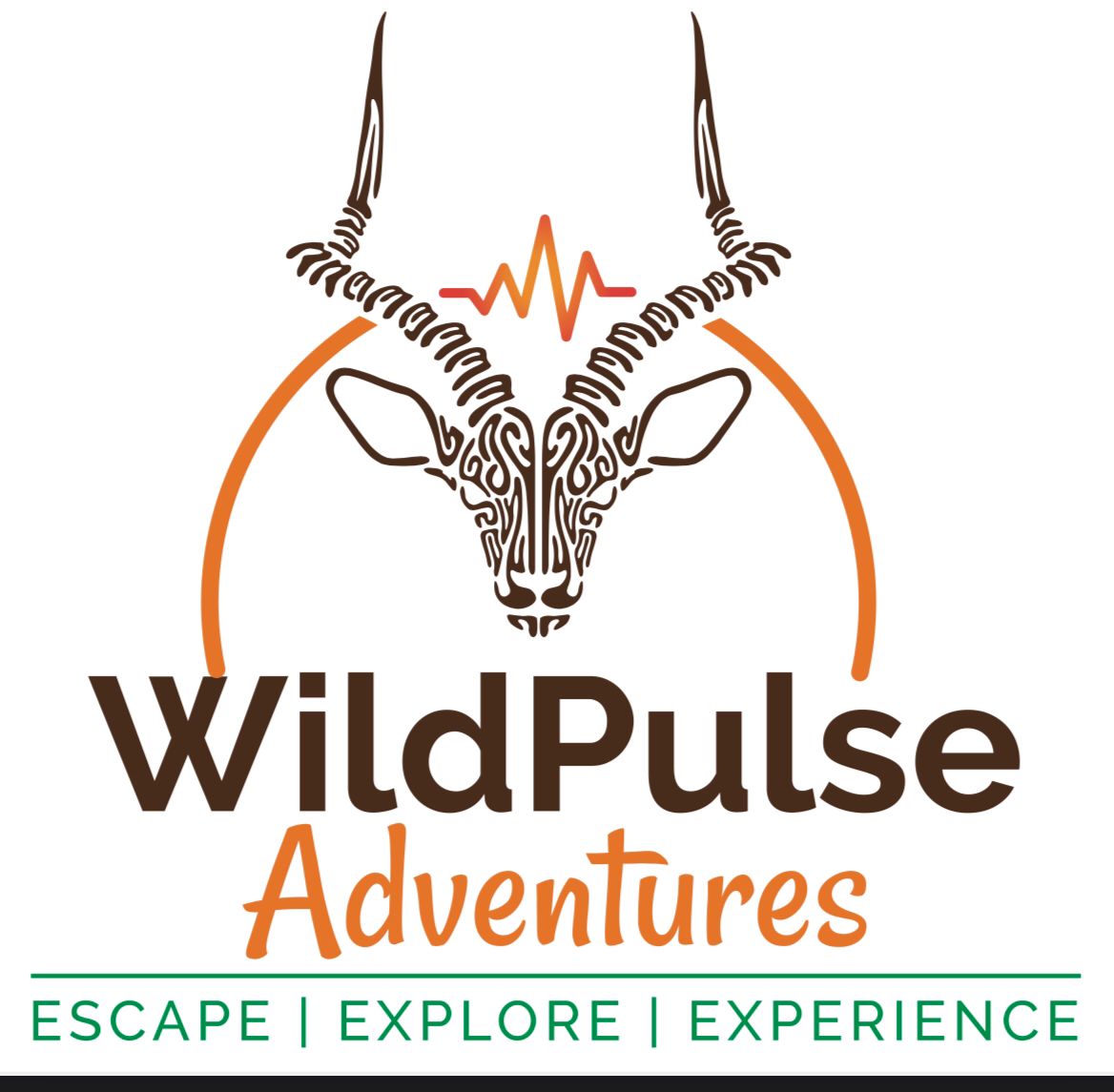 Wildpulse Adventures